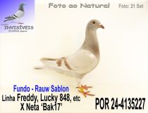 POR 24-4135227